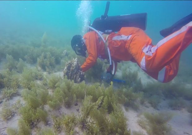 亚投娱乐(中国区)官方网站入口