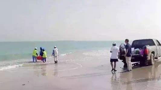 亚投娱乐(中国区)官方网站入口