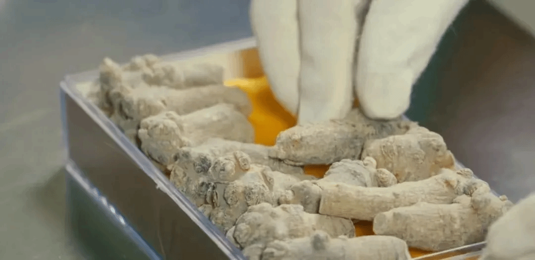 亚投娱乐(中国区)官方网站入口