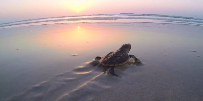 亚投娱乐(中国区)官方网站入口