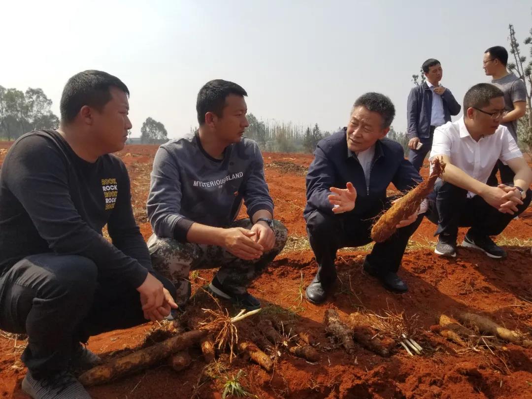 亚投娱乐(中国区)官方网站入口